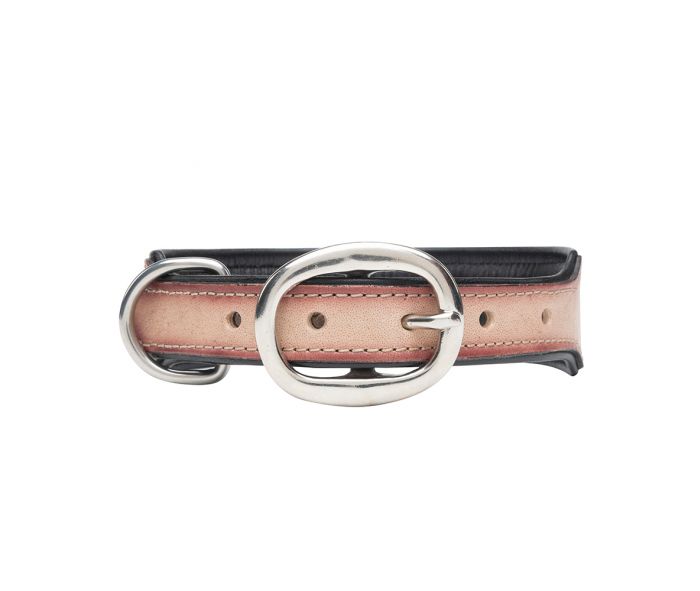 Myra Cow Dog Trail Hand-tooled Dog Collar