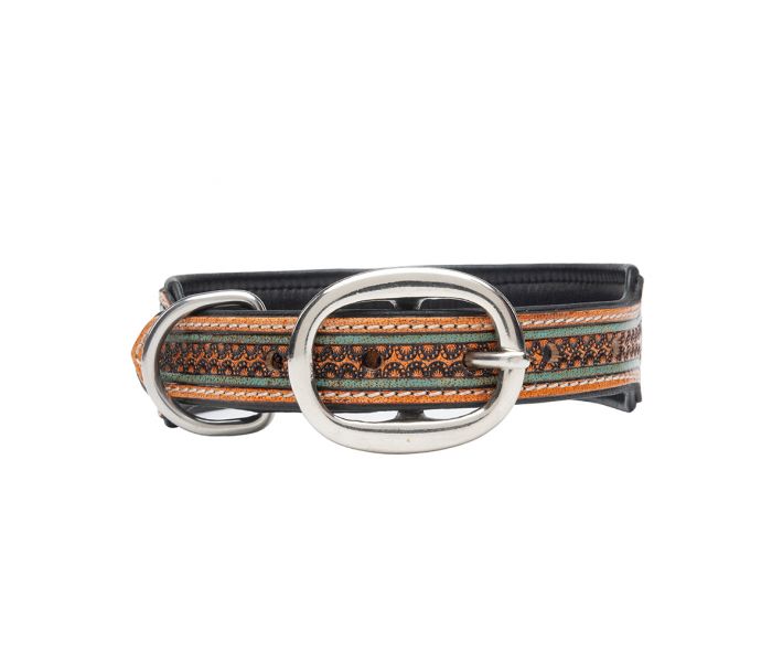 Myra Trusted Amigo Hand-tooled Dog Collar