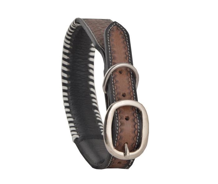 Myra Oxy Daisy Hand-Tooled Leather Dog Collar