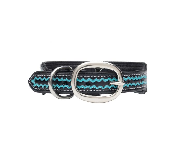 Myra Durango Daisy Hand-tooled Dog Collar